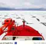 Vivo X Fold 3 Pro - Camera Samples - 2