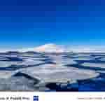 Vivo - X Fold 3 Pro - Antarctic Samples - 1