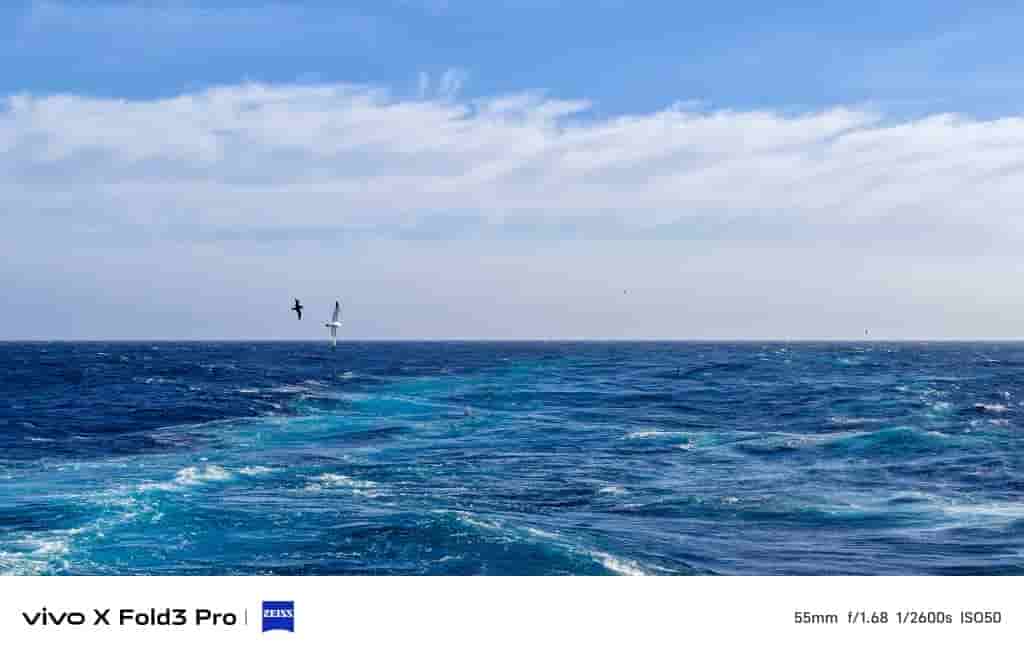 Vivo X Fold 3 Pro - Antarctic Samples - 2