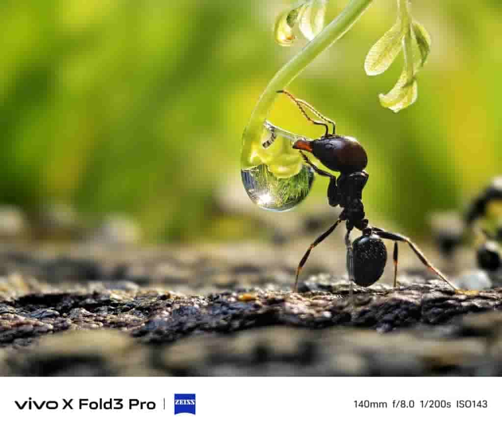 Vivo X Fold 3 Pro - Telephoto
