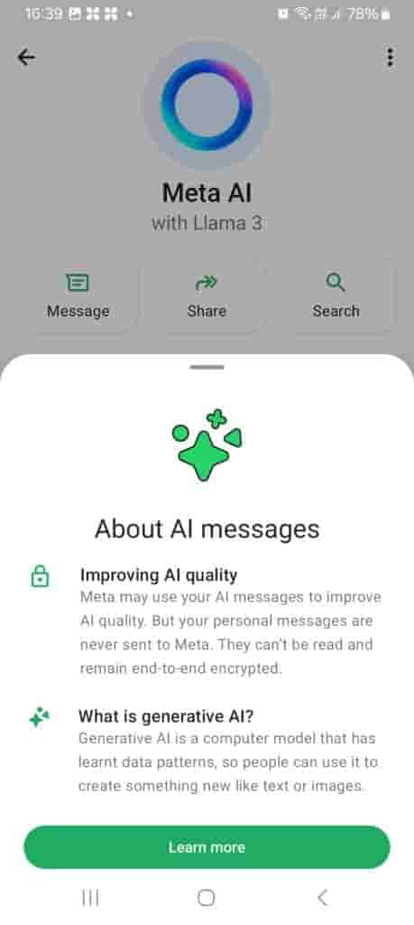About_Meta_ai[1]