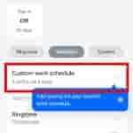 Then slect custom work schedule