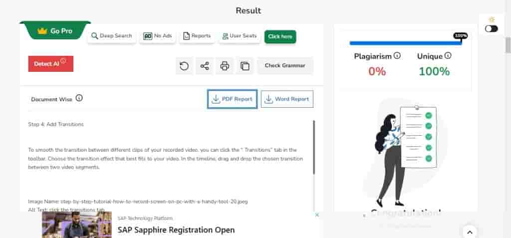 plag report 2