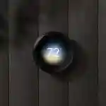 Polished_Obsidian.max-2000x2000.format-webp