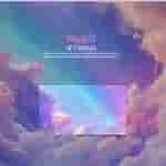 Screenshot_20240819-221715 (1)