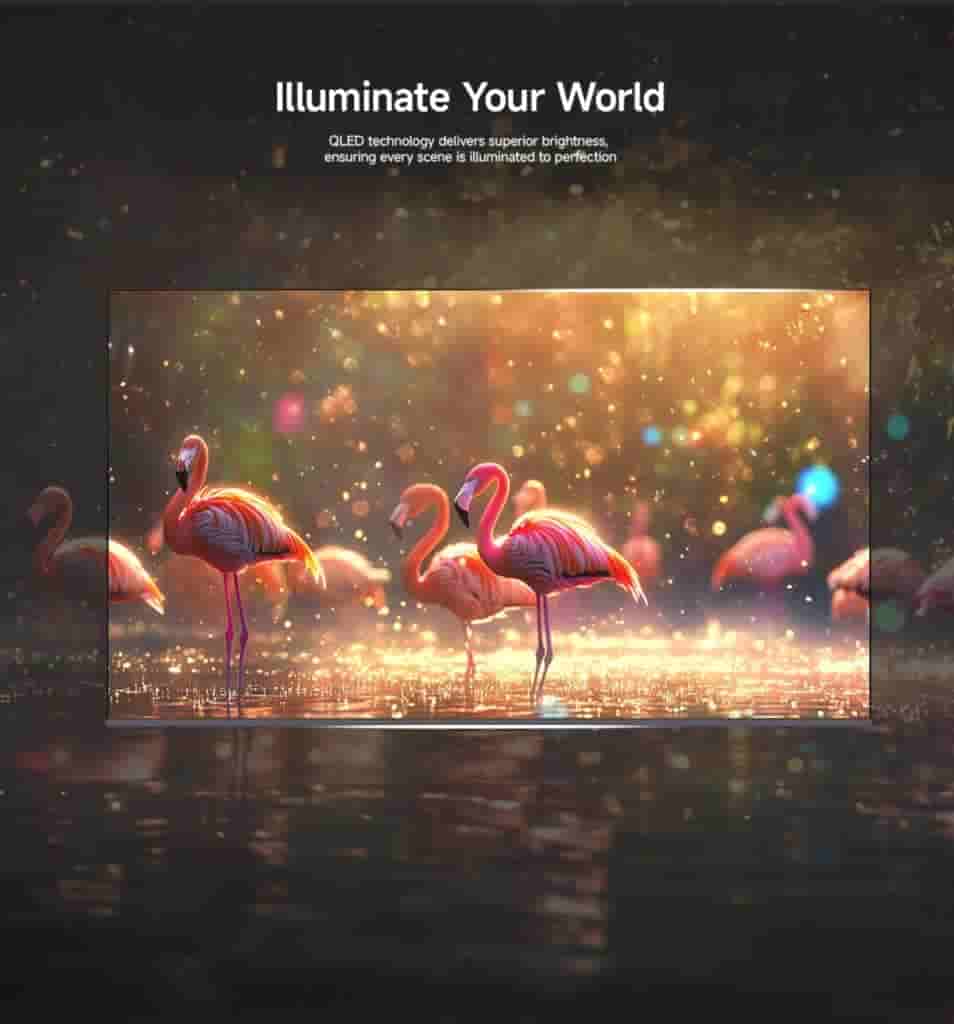 Screenshot_20240819-221720 (1)