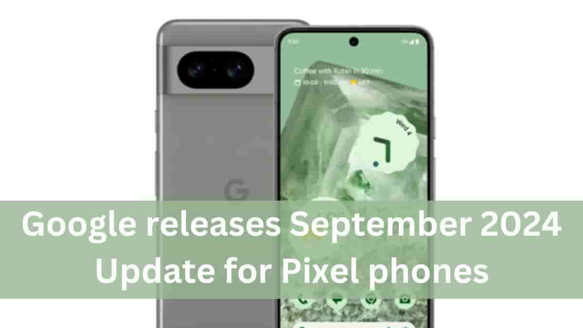 Google releases September Update