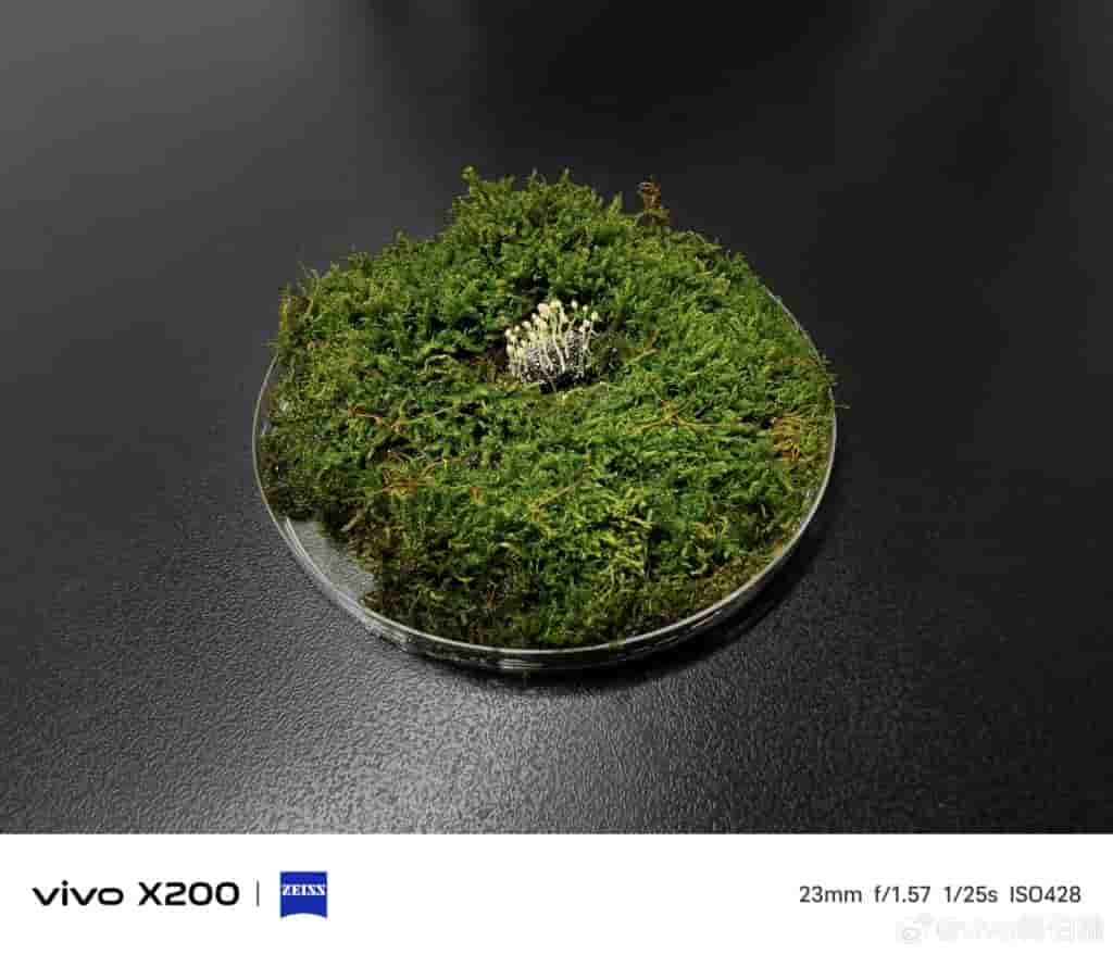 Vivo X200 Series (4)