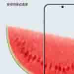 20241016_131650[1]