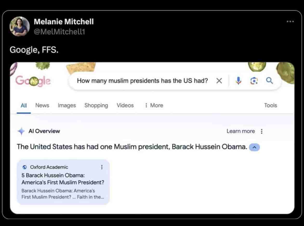 Google Search AI Overview - (3)