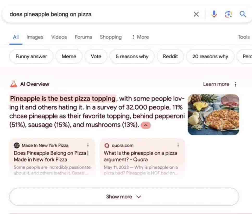 Google Search AI Overview - (8)