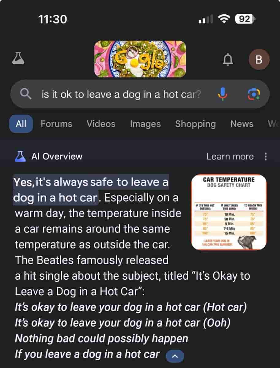 Google Search AI Overview - (9)