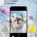 IMG-20241120-WA0008[1]