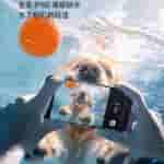 IMG-20241120-WA0009[1]