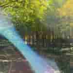 csm_Vivo-X200-Pro-Lens-Flare-Problem-Example-4_3699c7eab1[1]