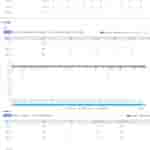 IMG-20241204-WA0002[1]