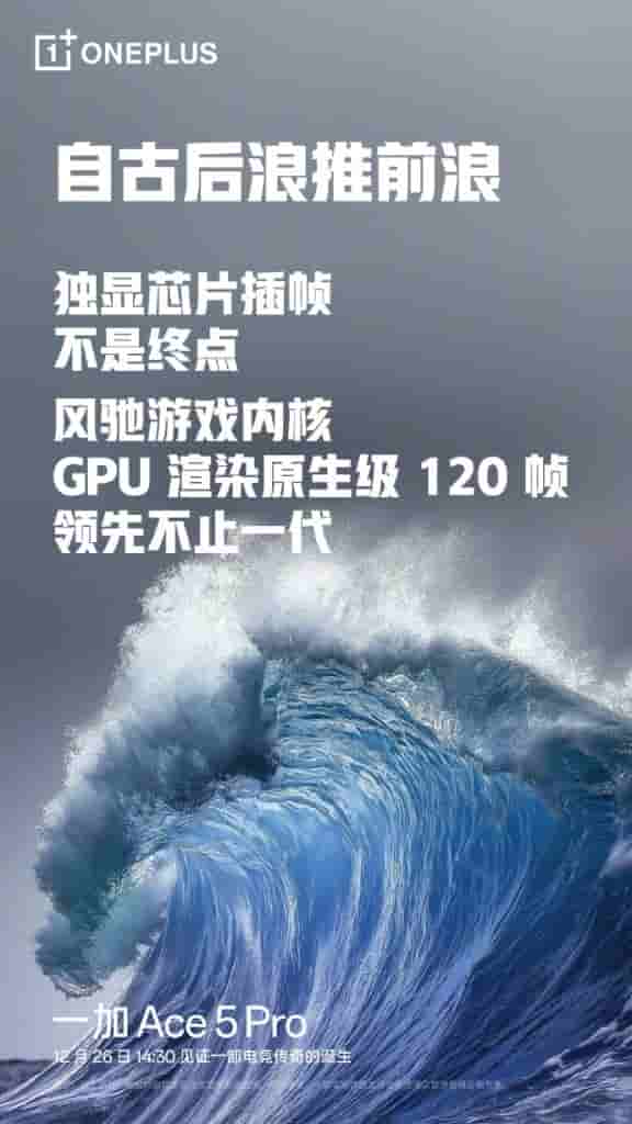 IMG-20241220-WA0009[1]
