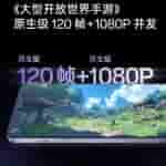 IMG-20241220-WA0010[1]