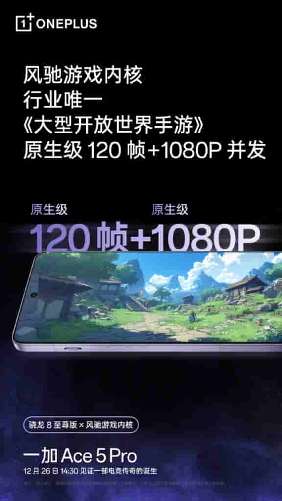 IMG-20241220-WA0010[1]