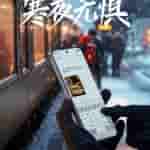 IMG-20241221-WA0005[1]