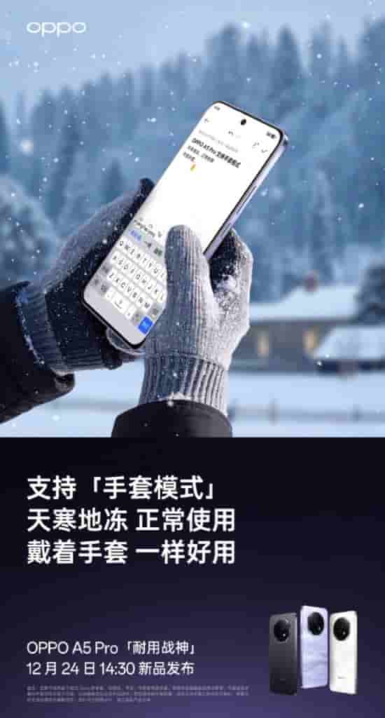 IMG-20241221-WA0006[1]