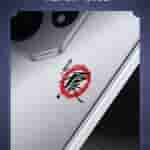 IMG-20241230-WA0005[1]