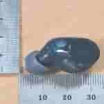 Sony 'YY2986' - Transparent Blue Earbuds