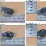 Sony 'YY2986' - Transparent Blue Earbuds