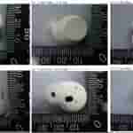 Sony 'YY2986' - White Earbuds