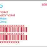 Vivo V50 Lite 4G (V2441) - FCC Certification (4)