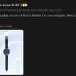 Wangzai Know it All - Weibo Update