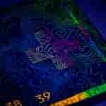 20250320_112603[1]
