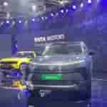 Harrier_EV[1]