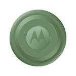 Moto Tag (Sage Green) - (1)