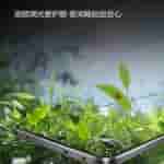 Realme GT 7 - Display (2)