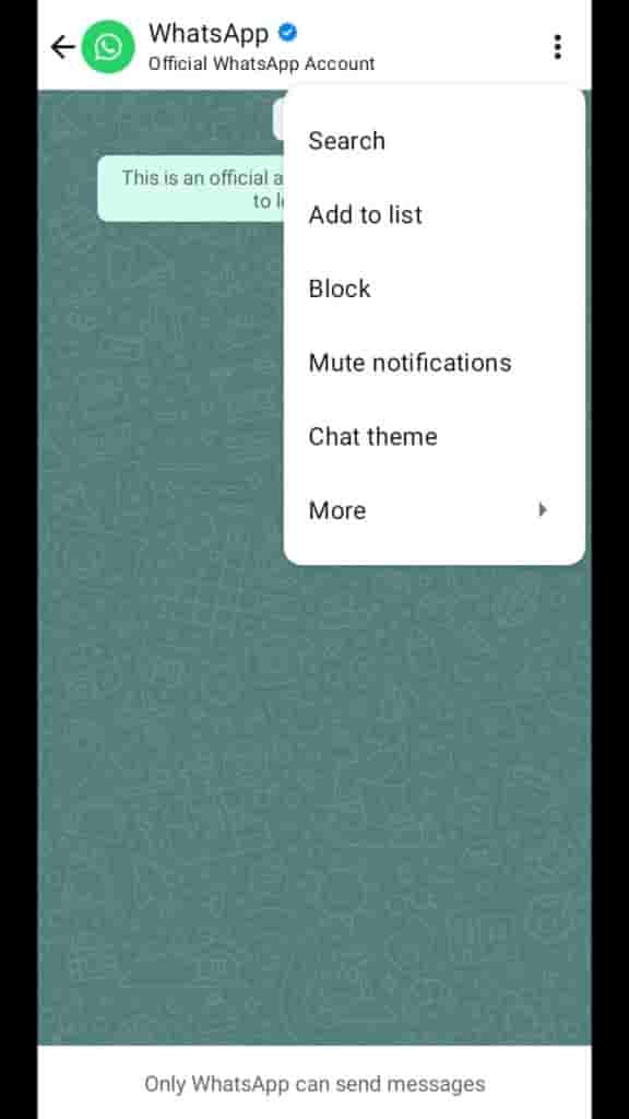 WhatsApp - Chat Theme Menu