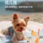 OPPO Reno 14 Series - Ice Crystal Heat Sink and Same Tidal Engine Usage (1)