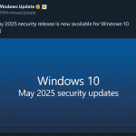 Windows 10 May 2025 Security Updates - X Post