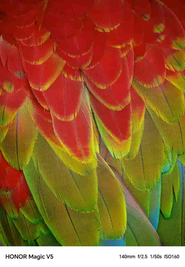 Honor Magic V5 - Camera Samples (4)
