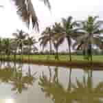 Meizu mblu 22 Pro - Camera Sample (1)