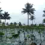 Meizu mblu 22 Pro - Camera Sample (4)