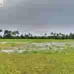 Meizu mblu 22 Pro - HDR Shot