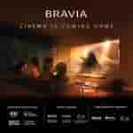 08-Cinema_is_coming_home_rev_50887134-a016-412f-900e-da8bbca6efe6[1]