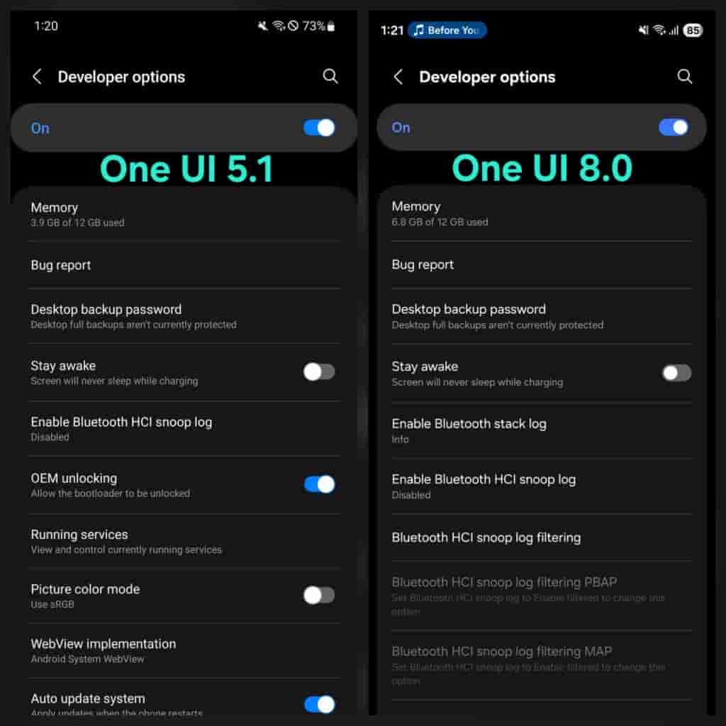 OEM Unlocking Option Deleted From Developer Option in One UI 8.0 - Image