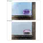 JBL SOUNDGEAR CLIPS - NCC Revealed Image (31)