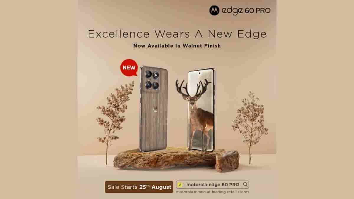 Edge 60 Pro Walnut Finish