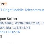 OPPO 'CPH2797' - TKDN Certification