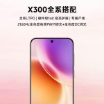 Vivo X300 Series - BOE Display Screen