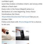 Honor Magic 8 Pro - Color Choices
