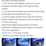 iQOO Neo 11 - 2K Screen (Weibo)